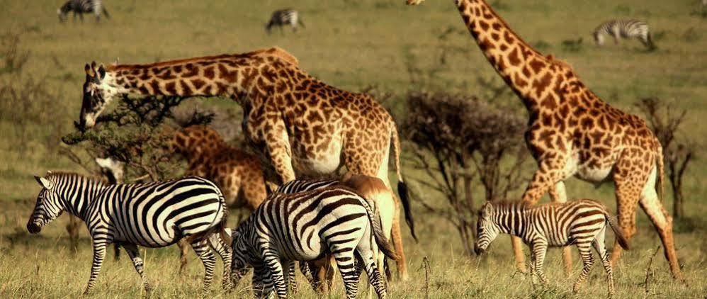 Mahali Mzuri Hotel มาไซมารา ภายนอก รูปภาพ